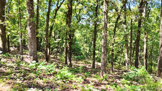 12865 E 128th S, Gore, OK 74435 - photo 54