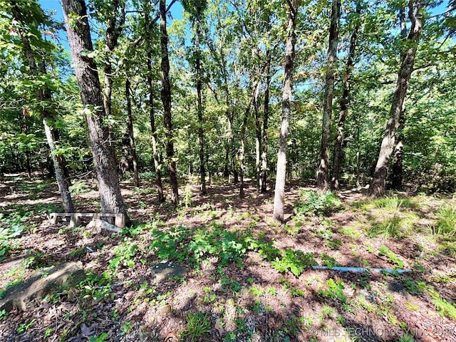 12865 E 128th S, Gore, OK 74435 - photo 56