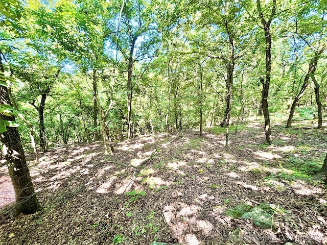 12865 E 128th S, Gore, OK 74435 - photo 55
