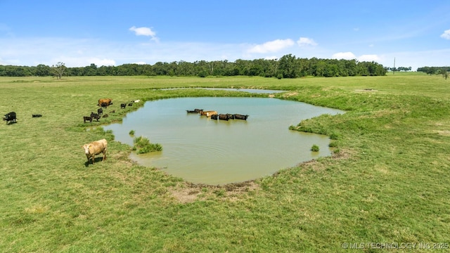 472747 E 680th Rd, Westville, OK 74965 - photo 6