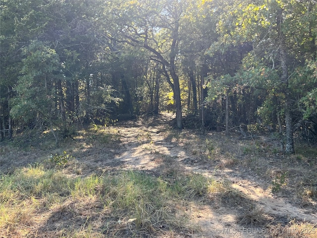 5804 Samuel Rd, Kingston, OK 73439 - photo 24