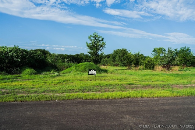 18 W 195th St S, Mounds, OK 74047 - photo 45