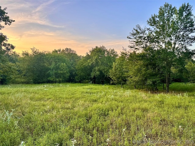 Deer Run, Hugo, OK 74756 - photo 1