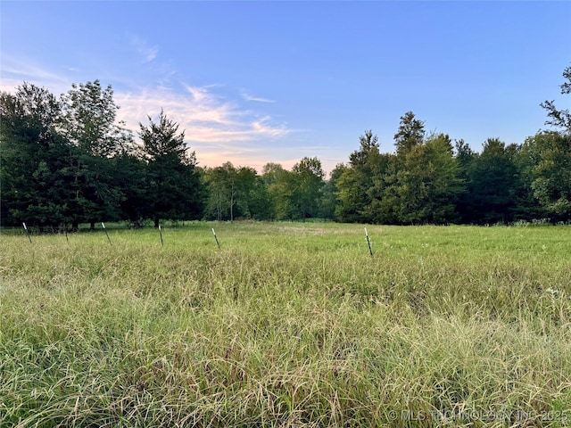 Deer Run, Hugo, OK 74756 - photo 4