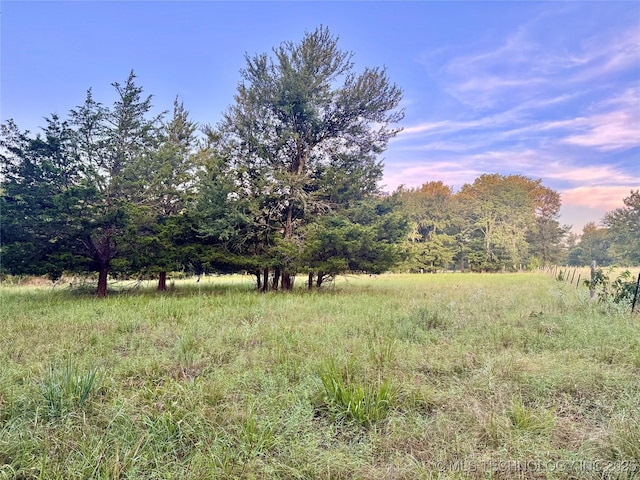 Deer Run, Hugo, OK 74756 - photo 6