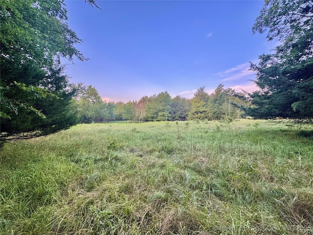 Deer Run, Hugo, OK 74756 - photo 7