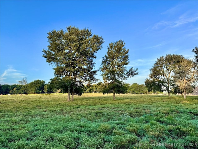 Deer Run, Sawyer, OK 74756 - photo 6