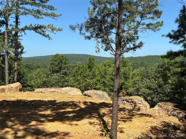 002 E Bolen Hollow Hollow W, Pittsburg, OK 74560 - photo 2