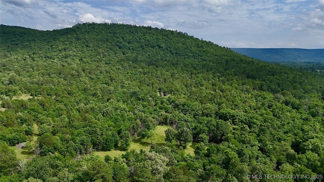 002 E Bolen Hollow Hollow W, Pittsburg, OK 74560 - photo 17