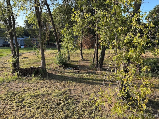 411 W Beech, Achille, OK 74720 - photo 34