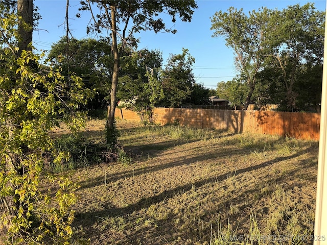 411 W Beech, Achille, OK 74720 - photo 35