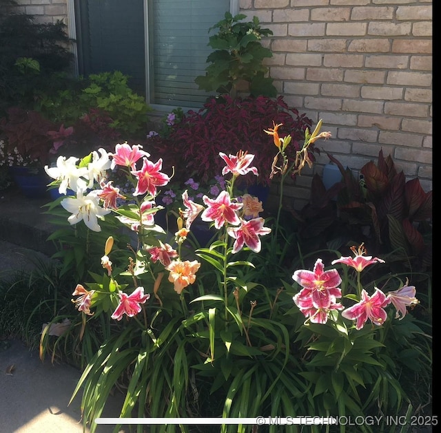 5912 E 50th St, Tulsa, OK 74135 - photo 38