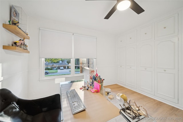 3425 S Zunis Ave, Tulsa, OK 74105 - photo 29