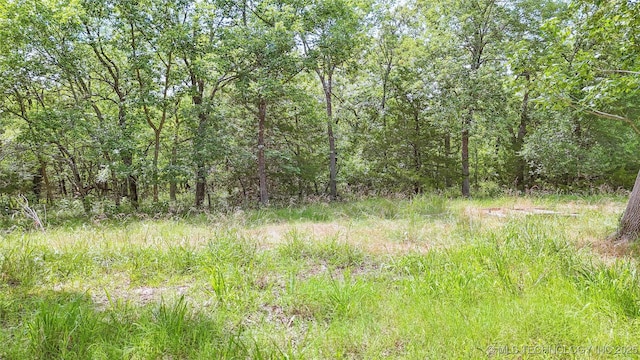 17290 County Road 3548, Ada, OK 74820 - photo 66
