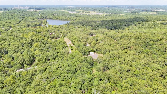 17290 County Road 3548, Ada, OK 74820 - photo 73