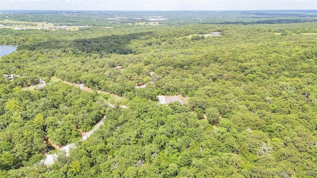 17290 County Road 3548, Ada, OK 74820 - photo 74