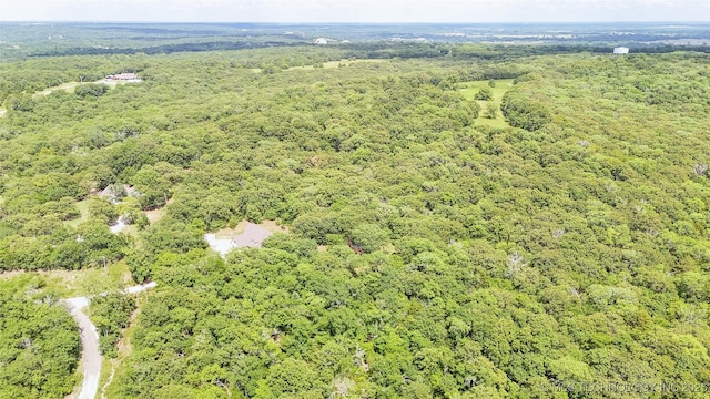 17290 County Road 3548, Ada, OK 74820 - photo 75