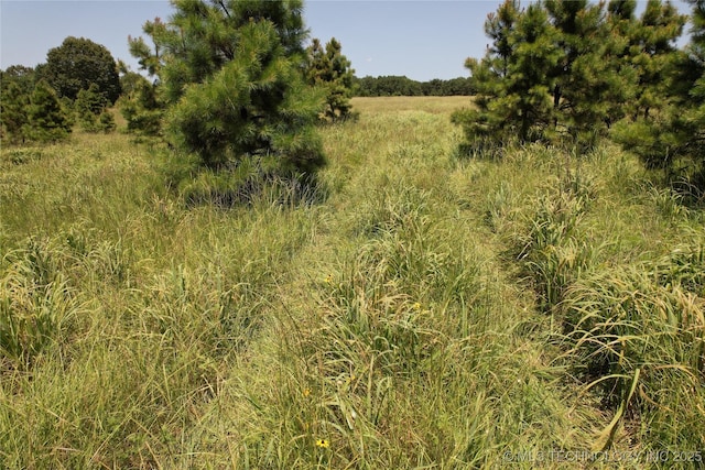 0005 1960th Rd, Antlers, OK 74523 - photo 2
