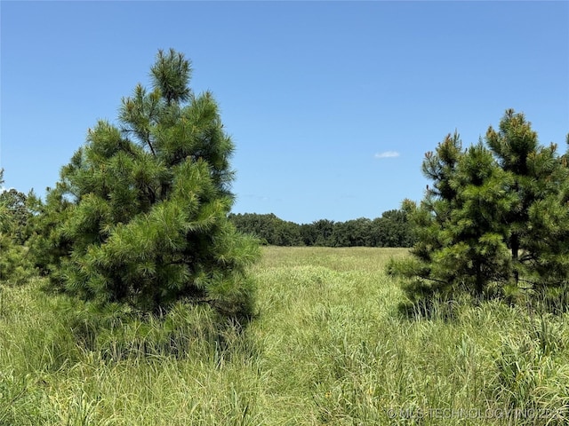 0005 1960th Rd, Antlers, OK 74523 - photo 15