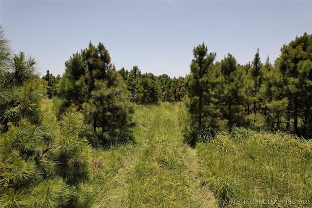 0005 1960th Rd, Antlers, OK 74523 - photo 19