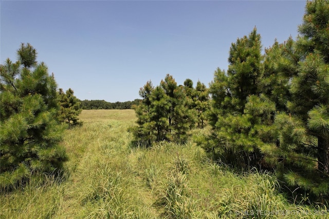 0005 1960th Rd, Antlers, OK 74523 - photo 21