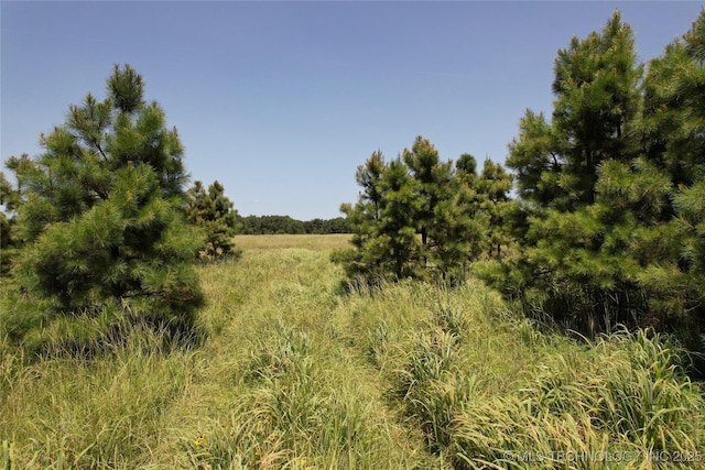 0005 1960th Rd, Antlers, OK 74523 - photo 25