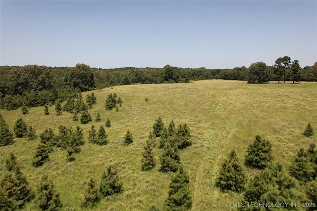 0005 1960th Rd, Antlers, OK 74523 - photo 37