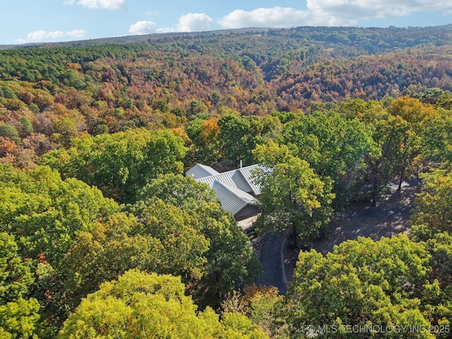 3537 NE 4448th Dr, Spavinaw, OK 74366 - photo 41
