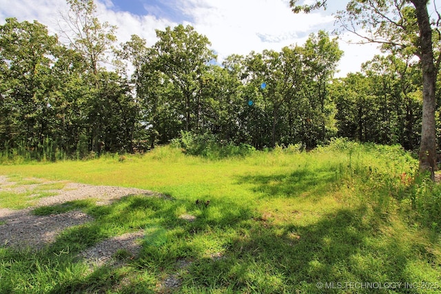 8326 N 496th Rd, Tahlequah, OK 74464 - photo 36