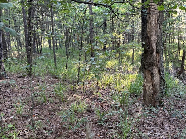 00 Indian Hwy, Honobia, OK 74957 - photo 16