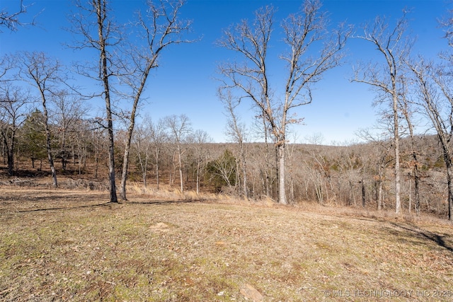 96708 S 4515th Rd, Vian, OK 74962 - photo 4