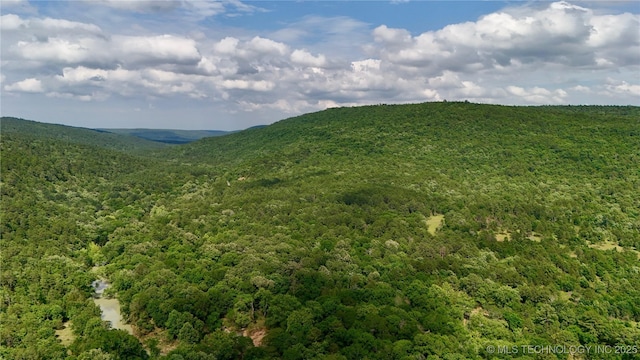 003 E Bolen Hollow Hollow W, Pittsburg, OK 74560 - photo 3