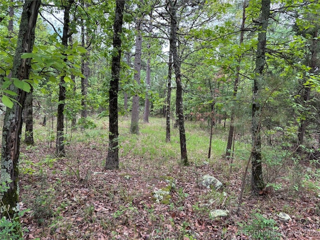 003 E Bolen Hollow Hollow W, Pittsburg, OK 74560 - photo 11