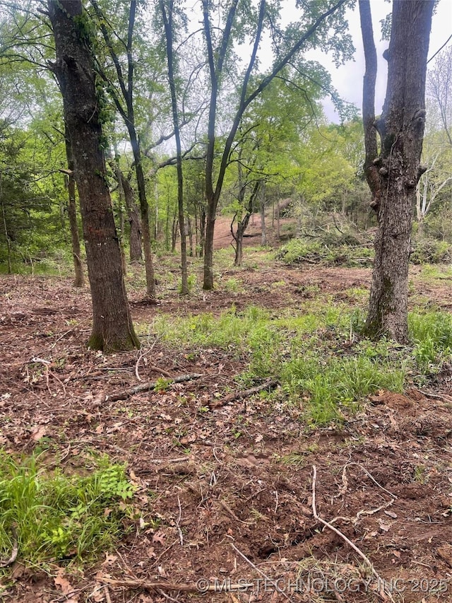 County Road 1561, Ada, OK 74820 - photo 2
