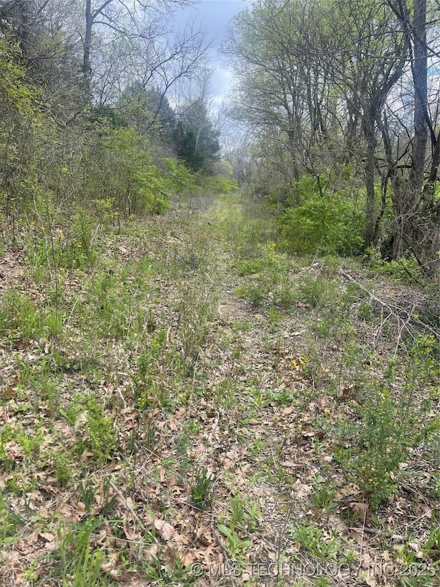County Road 1561, Ada, OK 74820 - photo 7