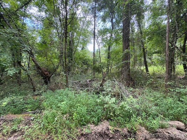 E 1010 Road, Muldrow, OK 74948 - photo 12
