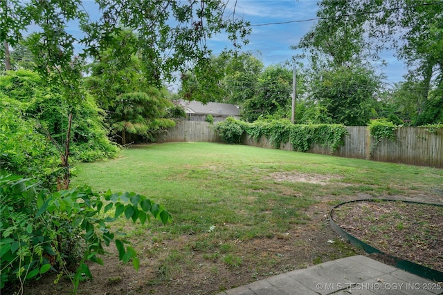 2539 E 17th St, Tulsa, OK 74104 - photo 5