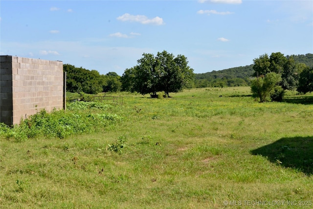 31095 S 180th Rd, Weleetka, OK 74880 - photo 48