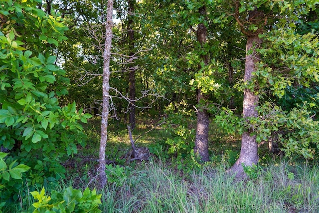 2 E 191st St S, Bixby, OK 74008 - photo 29
