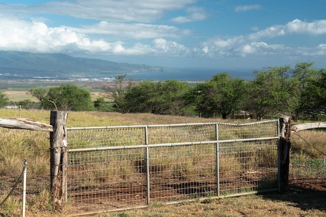 view of yard with a mountain view and a rural view