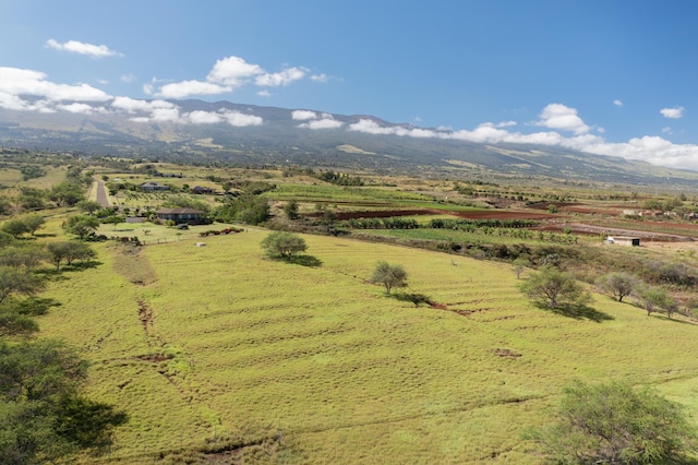 bird's eye view featuring a mountain view and a rural view