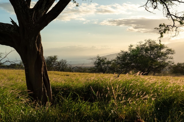 nature at dusk with a rural view