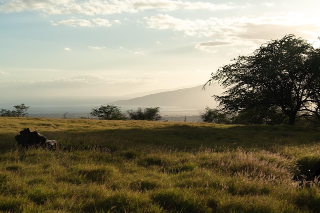 view of landscape with a mountain view and a rural view