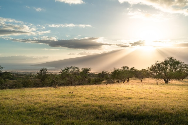 view of landscape with a rural view