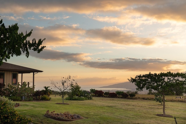 view of yard at dusk