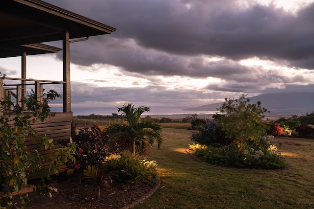 view of yard at dusk