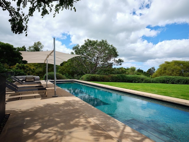 view of swimming pool featuring a lawn and a patio