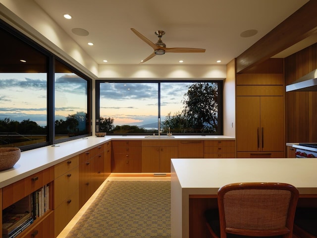 kitchen with ceiling fan and sink