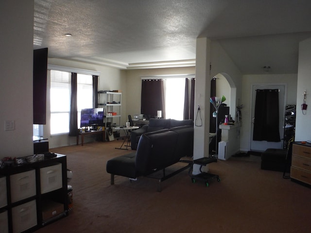 carpeted living room featuring a textured ceiling