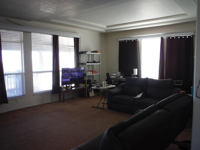 living room with carpet and a tray ceiling